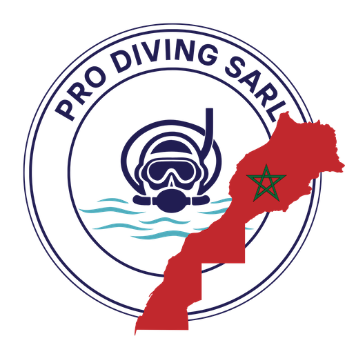 Pro Diving Sarl - Logo